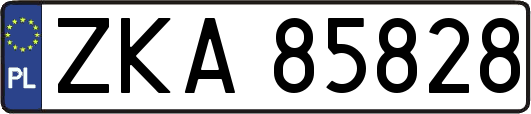 ZKA85828