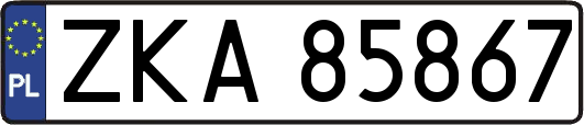 ZKA85867