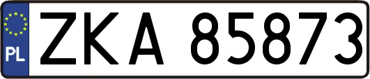 ZKA85873