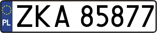 ZKA85877