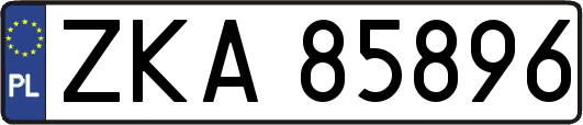 ZKA85896