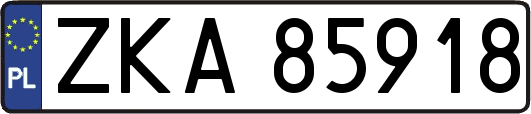 ZKA85918