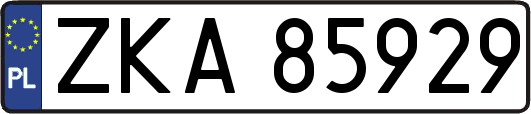 ZKA85929