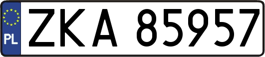 ZKA85957