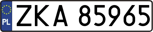 ZKA85965