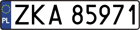 ZKA85971