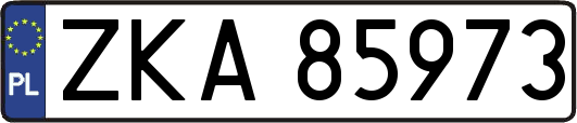 ZKA85973