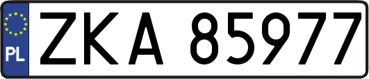 ZKA85977