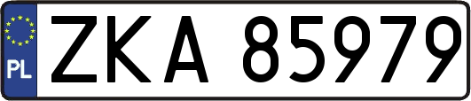 ZKA85979