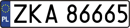 ZKA86665