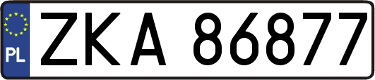 ZKA86877