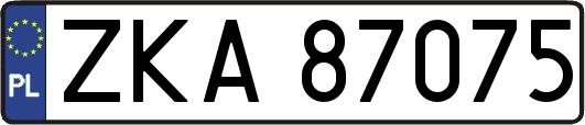 ZKA87075
