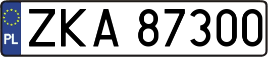 ZKA87300