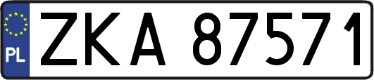 ZKA87571