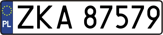 ZKA87579