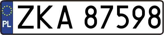 ZKA87598
