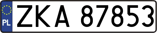 ZKA87853