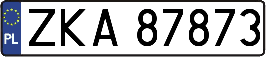 ZKA87873