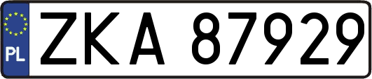 ZKA87929