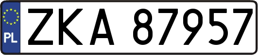 ZKA87957