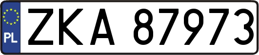 ZKA87973