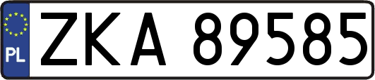 ZKA89585