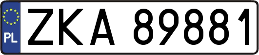 ZKA89881
