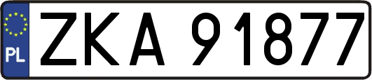 ZKA91877