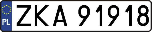 ZKA91918
