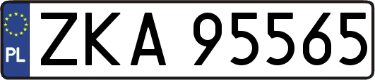 ZKA95565