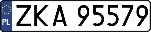 ZKA95579