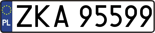 ZKA95599