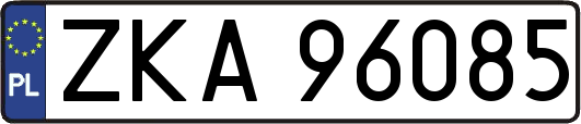 ZKA96085