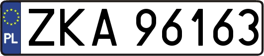 ZKA96163