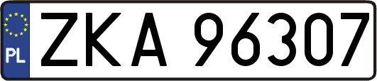 ZKA96307