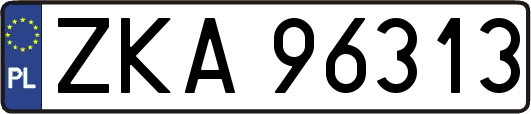 ZKA96313