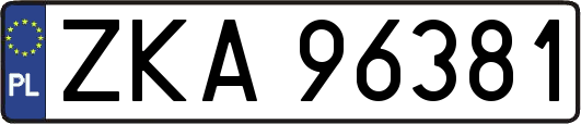 ZKA96381