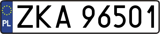 ZKA96501