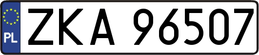 ZKA96507