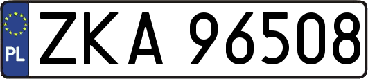 ZKA96508
