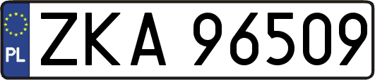 ZKA96509