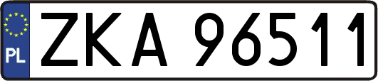 ZKA96511