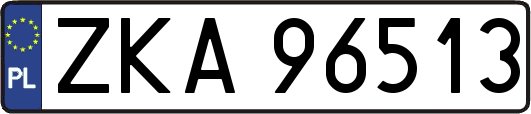 ZKA96513