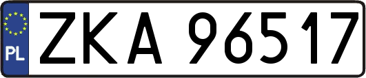 ZKA96517