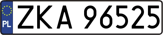 ZKA96525