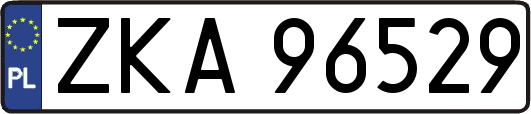 ZKA96529