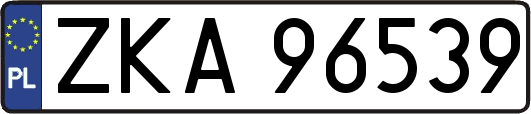 ZKA96539