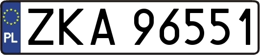 ZKA96551