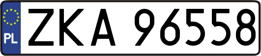 ZKA96558