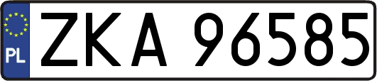 ZKA96585